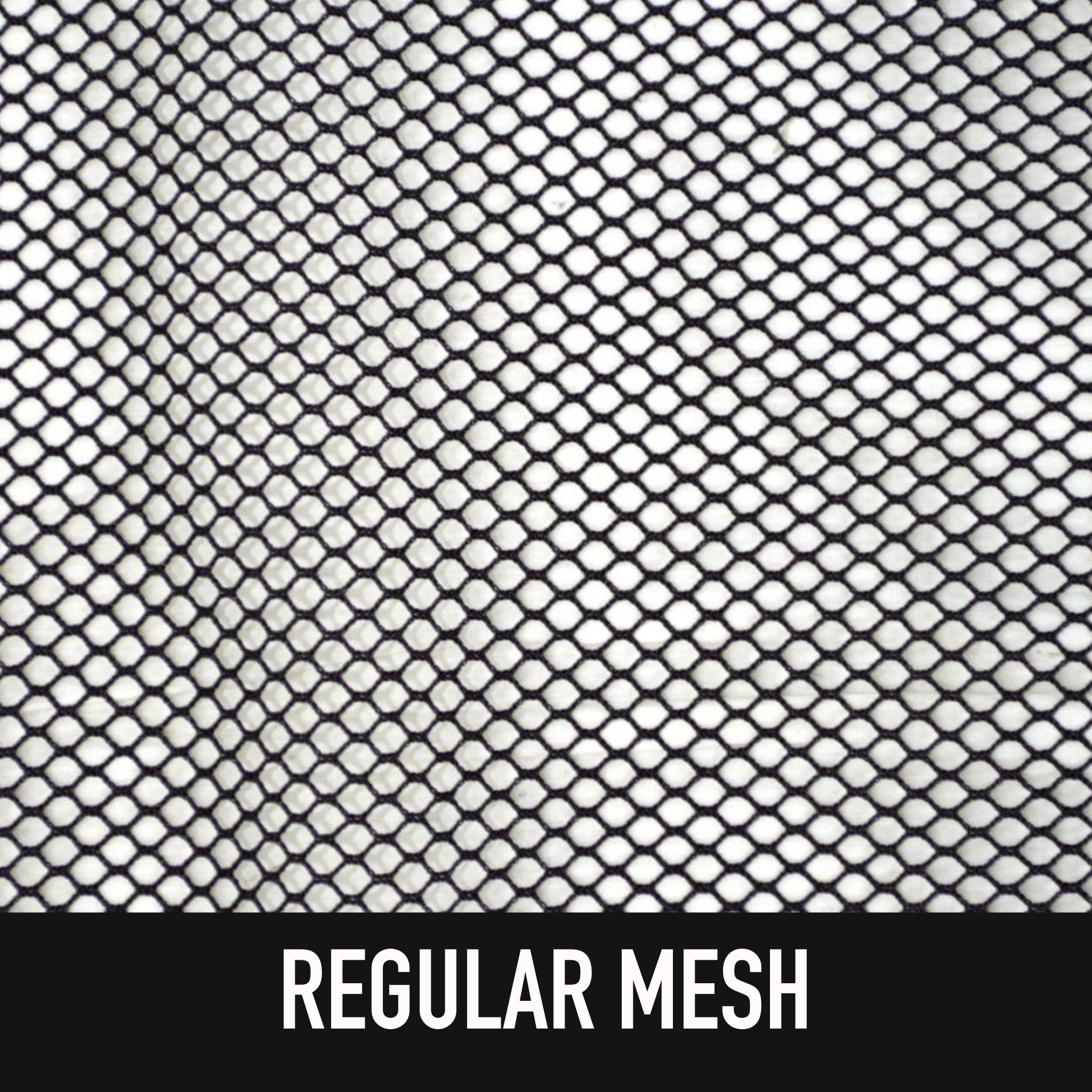 Window Nets