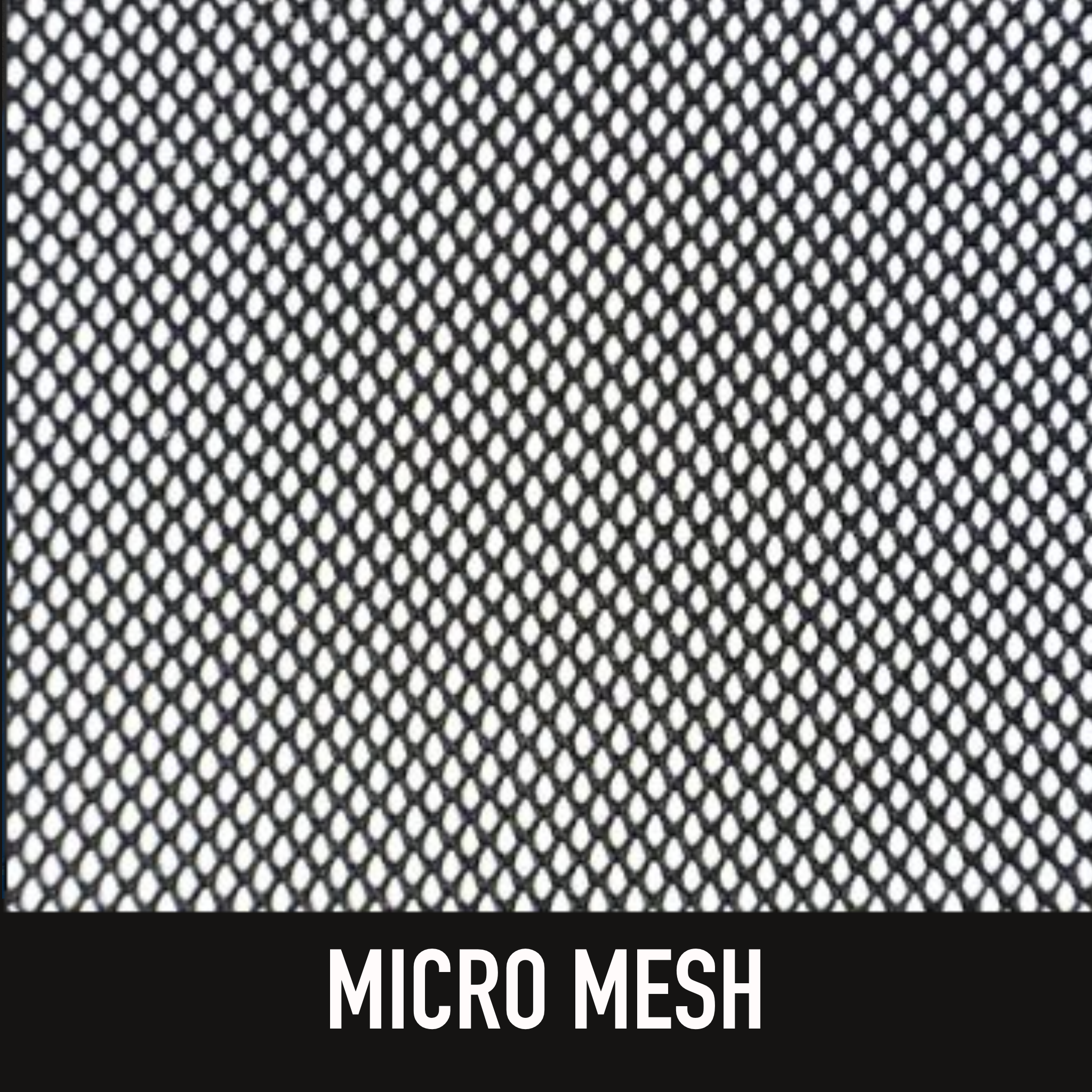 Window Nets