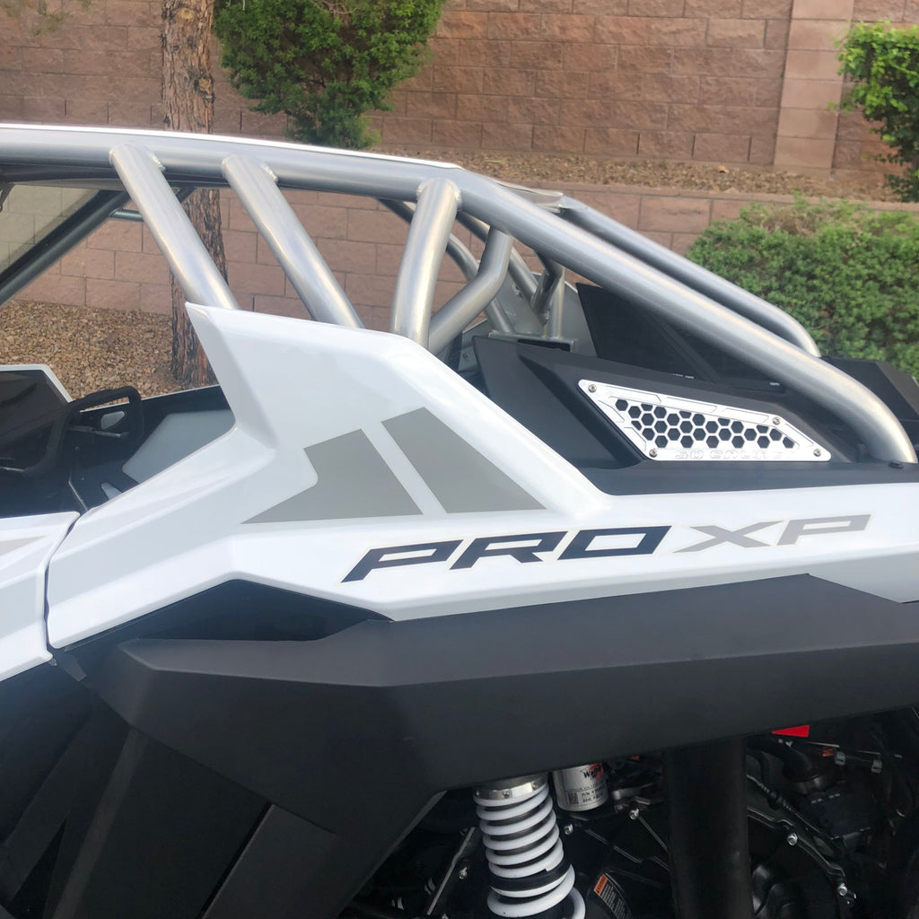 Pro XP 2-Seat Roll Cage