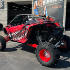Pro R 2-Seat "Fastback" Style Roll Cage