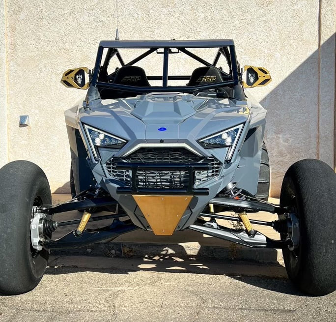 Pro R 2-Seat "Desert" Style Roll Cage
